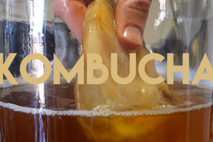 Kombucha: A Beginners Guide
