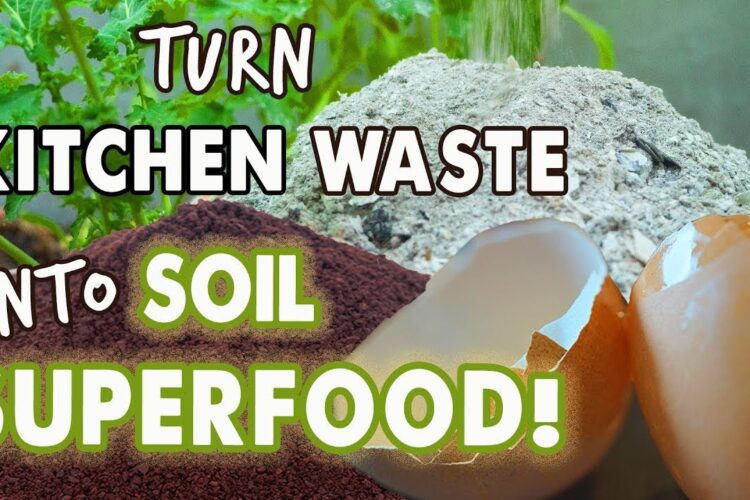 Feed Your Garden Soil