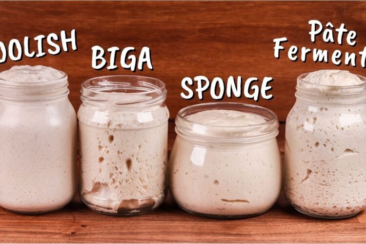 Yeasted Preferments Explained | Poolish, Biga, Sponge, Pâte Fermentée